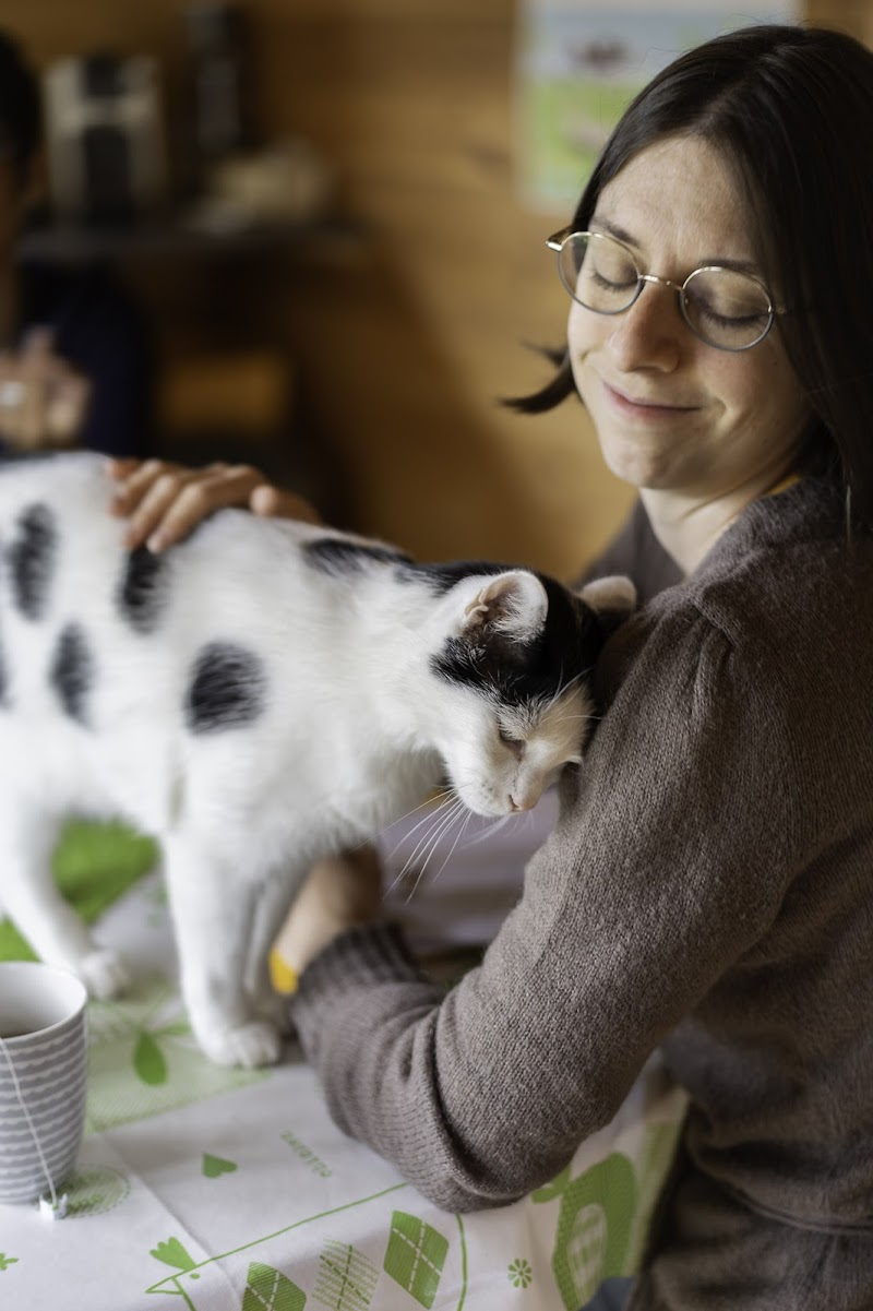Communication animale et soins énergétiques - Marion CANAPLE - A l'Unisson du Vivant