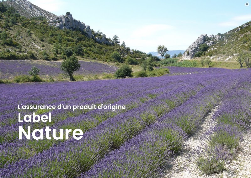 Florilab