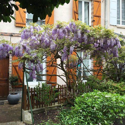 Marie-Laure LECLERC Naturopathe-Coach