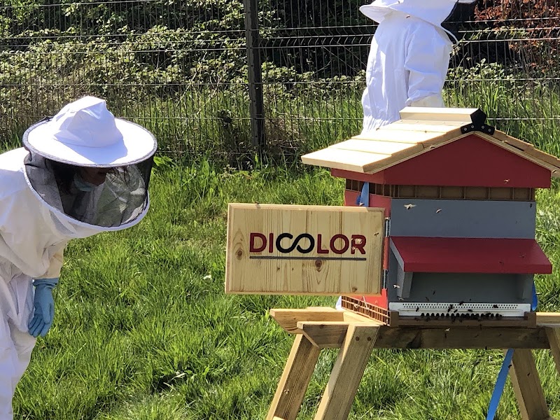 CowoBee - Ruche en entreprise